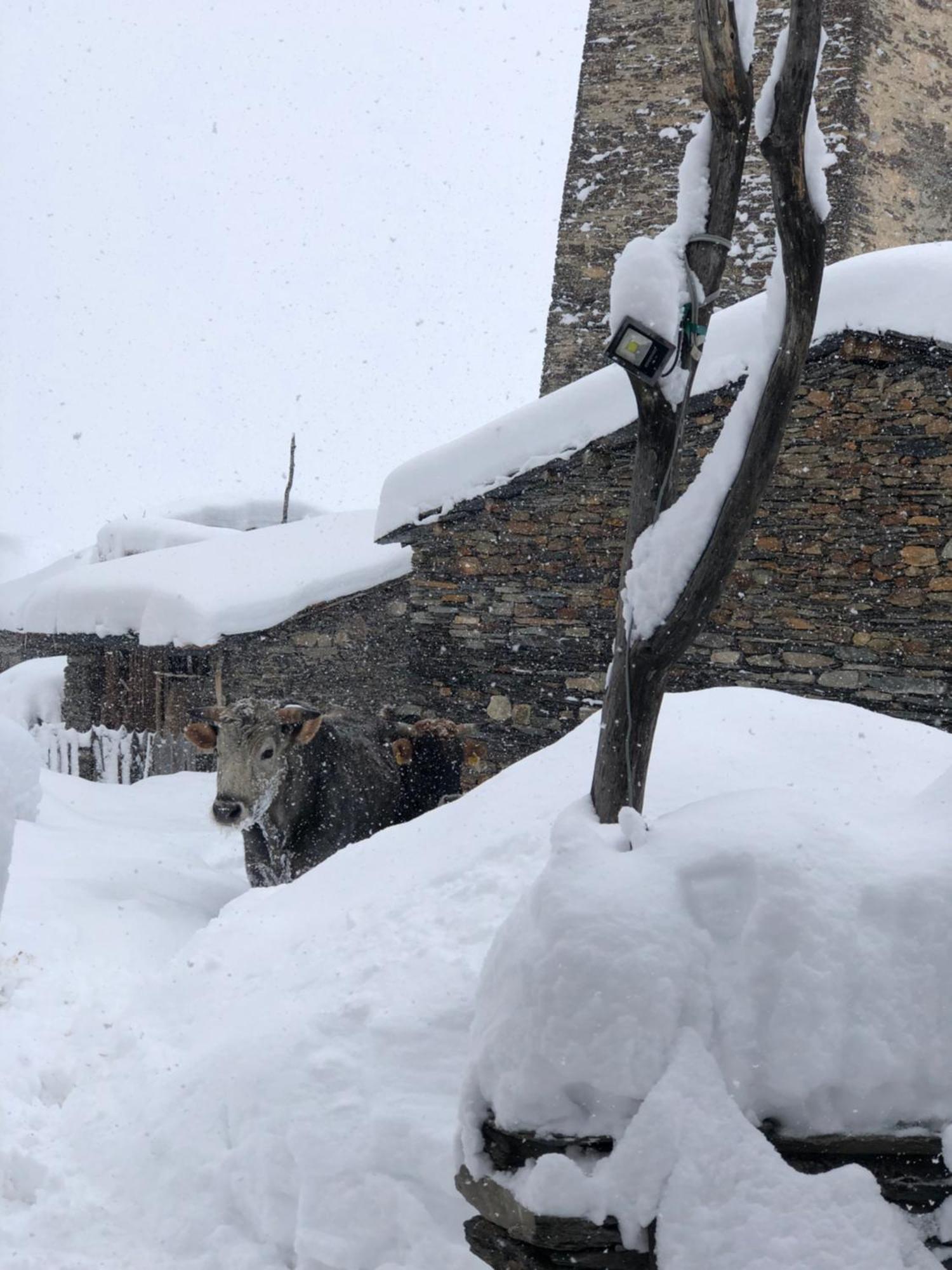Old House Hotel Ushguli Exterior photo